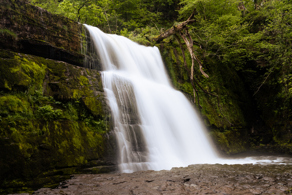 Picture of a Landscape.