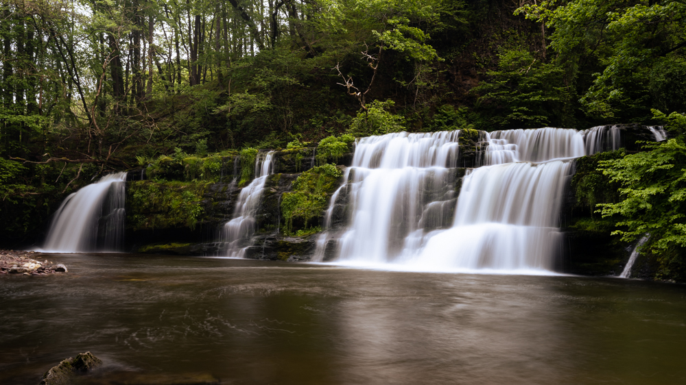 Picture of a Landscape.