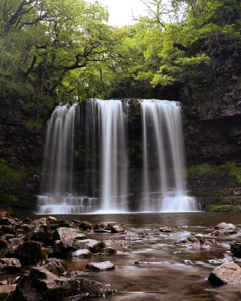 Picture of a Landscape.