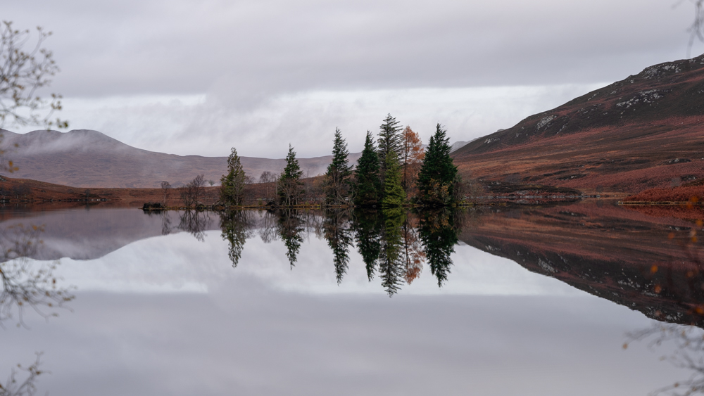 Picture of a Landscape.