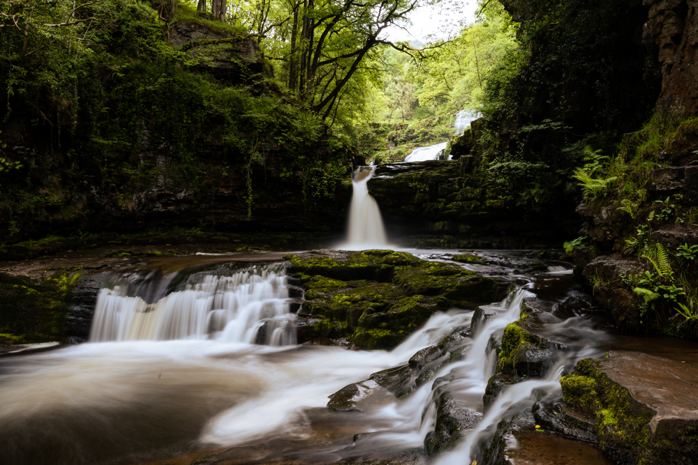 Picture of a Landscape.