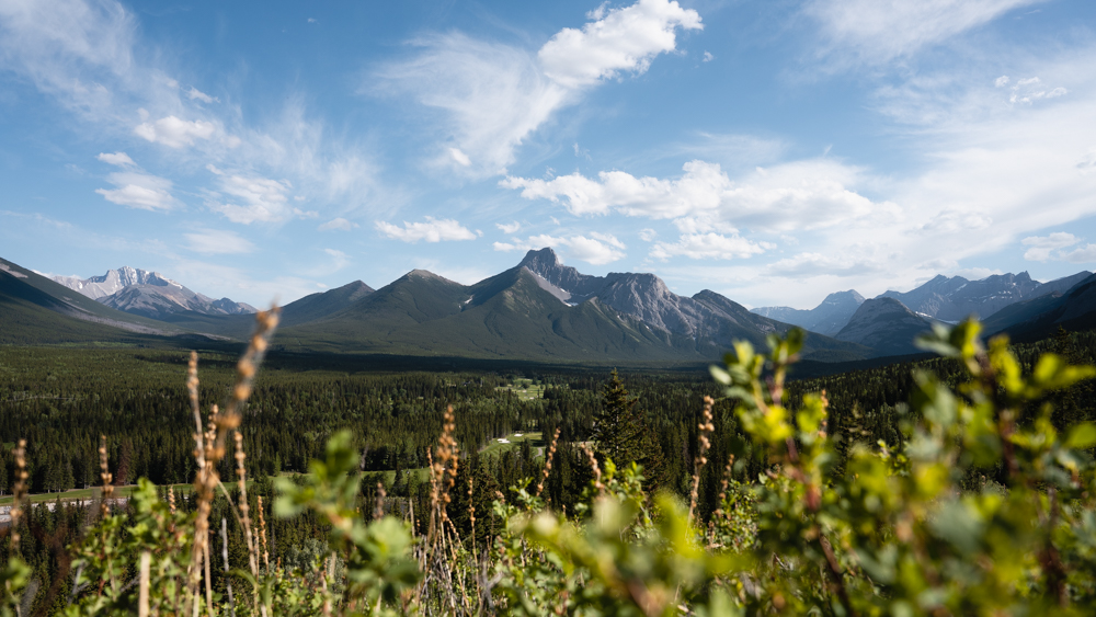 Picture of a Landscape.