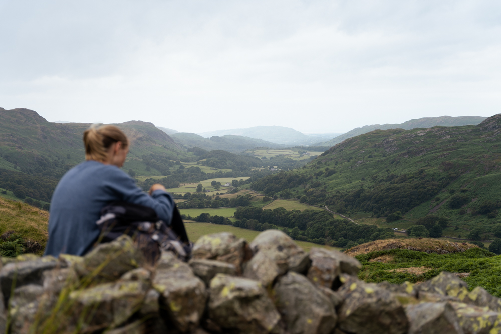 Picture of a Landscape.