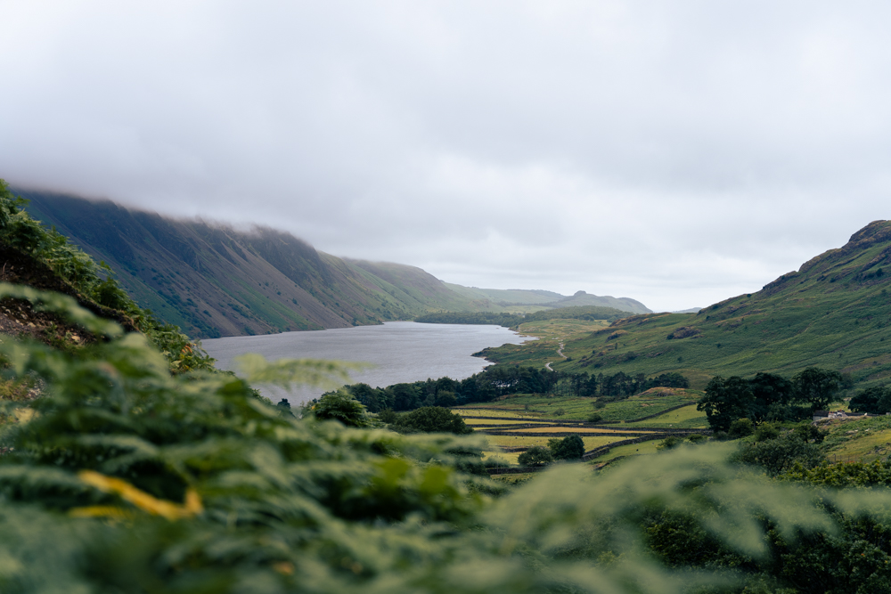 Picture of a Landscape.